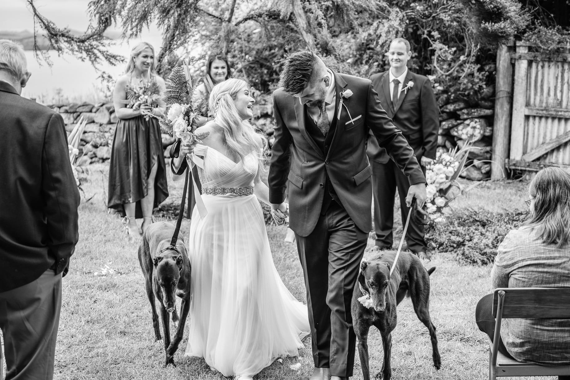 Dunedin Wedding Waitati Bride Groom and dogs